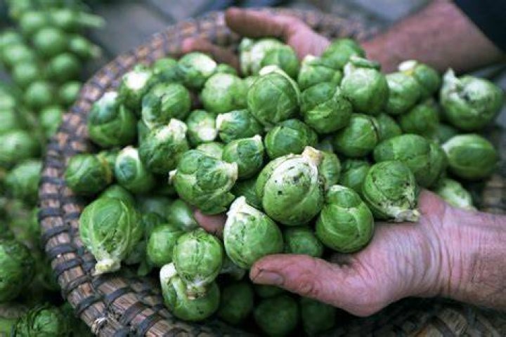 Do brussel sprouts contain Sulphur