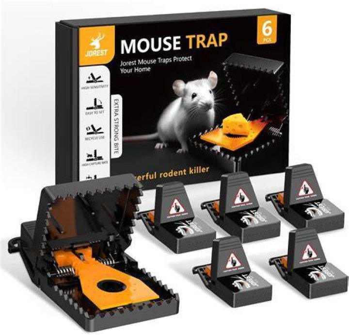 Do snap traps kill mice