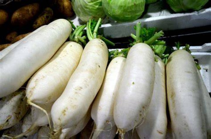 How do I buy daikon