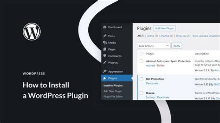 How do I change the install directory in WordPress