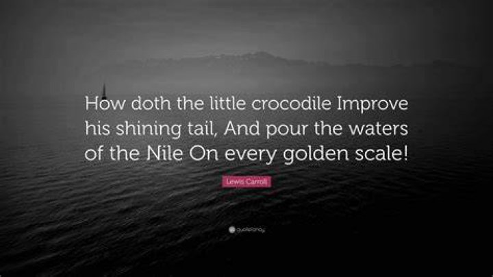How does the little crocodile improve