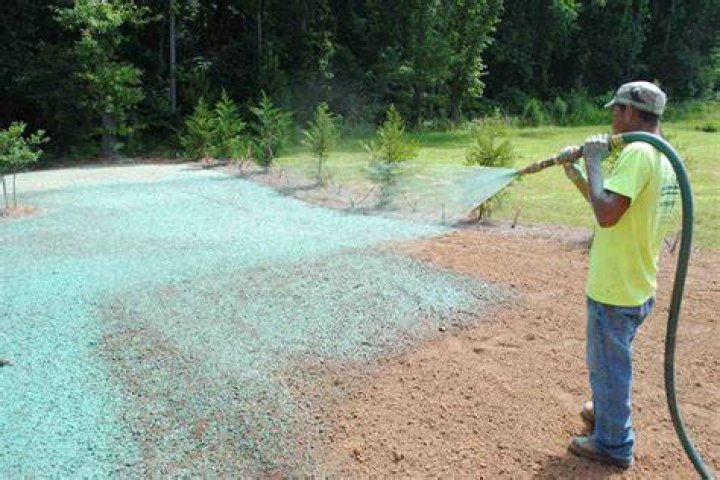 How much does it cost to spray grass