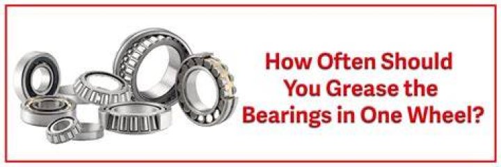 How often should you grease buddy bearings