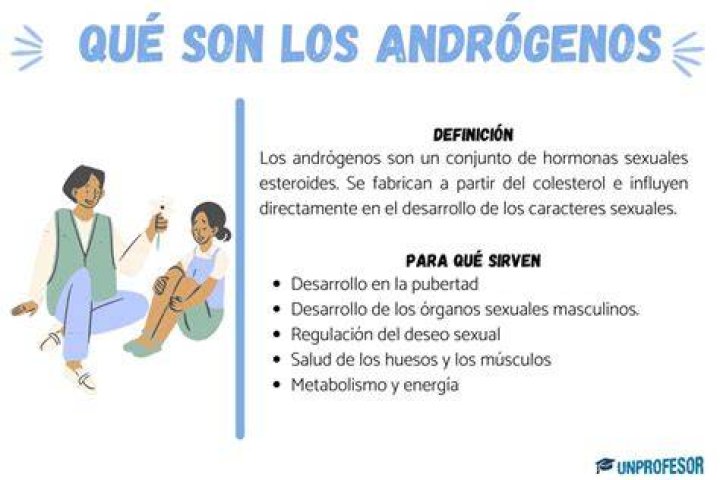 ¿Qué es un ser Androgeno