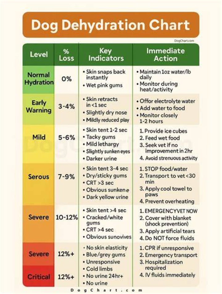 What are signs of dehydration in dogs