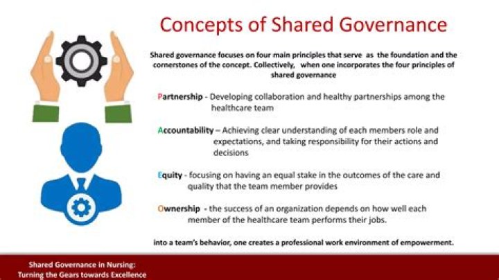 What are the principles of shared governance