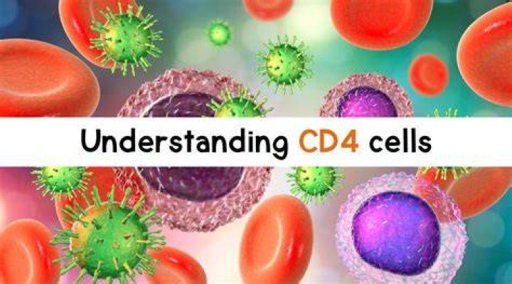 What does CD in cd4 stand for