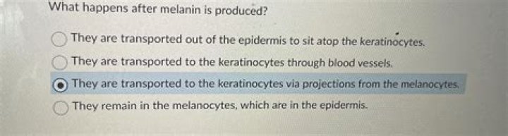 What happens to the melanin after it is produced
