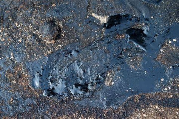 What happens when soil is contaminated