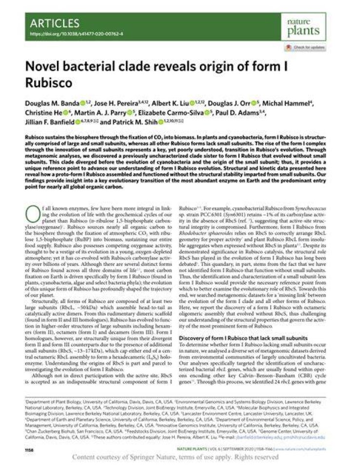 What is a bacterial clade