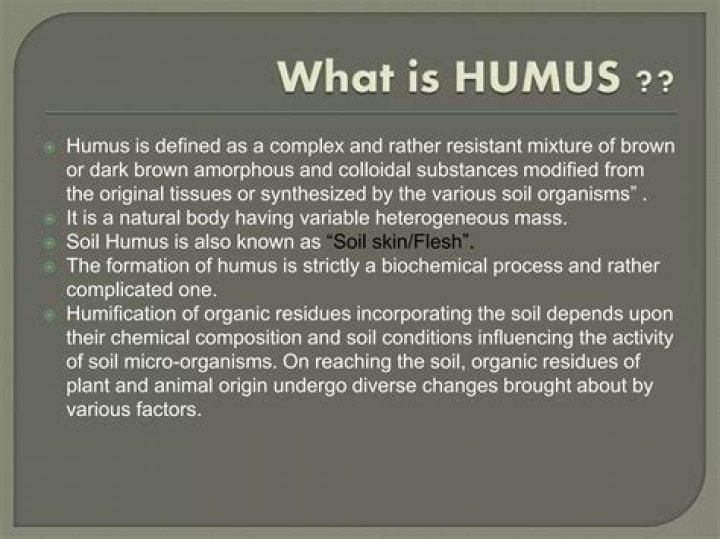 What is a humus in science