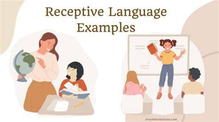 What is a receptive response