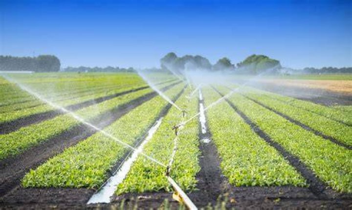 What is irrigation process
