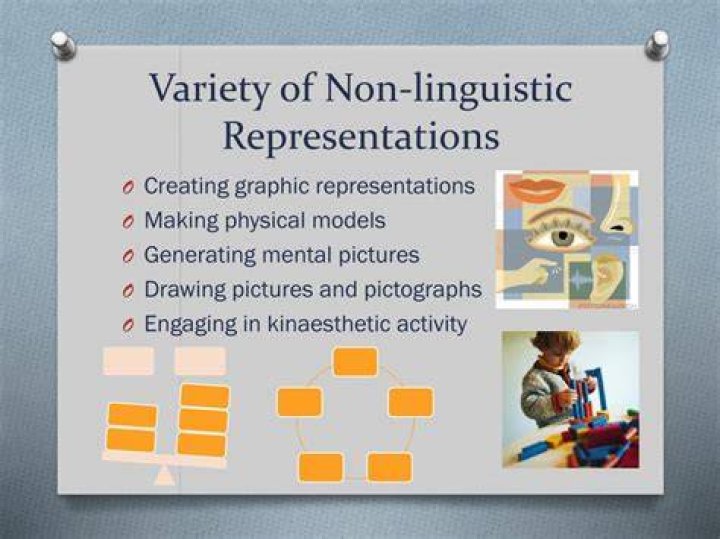What is non linguistic communication