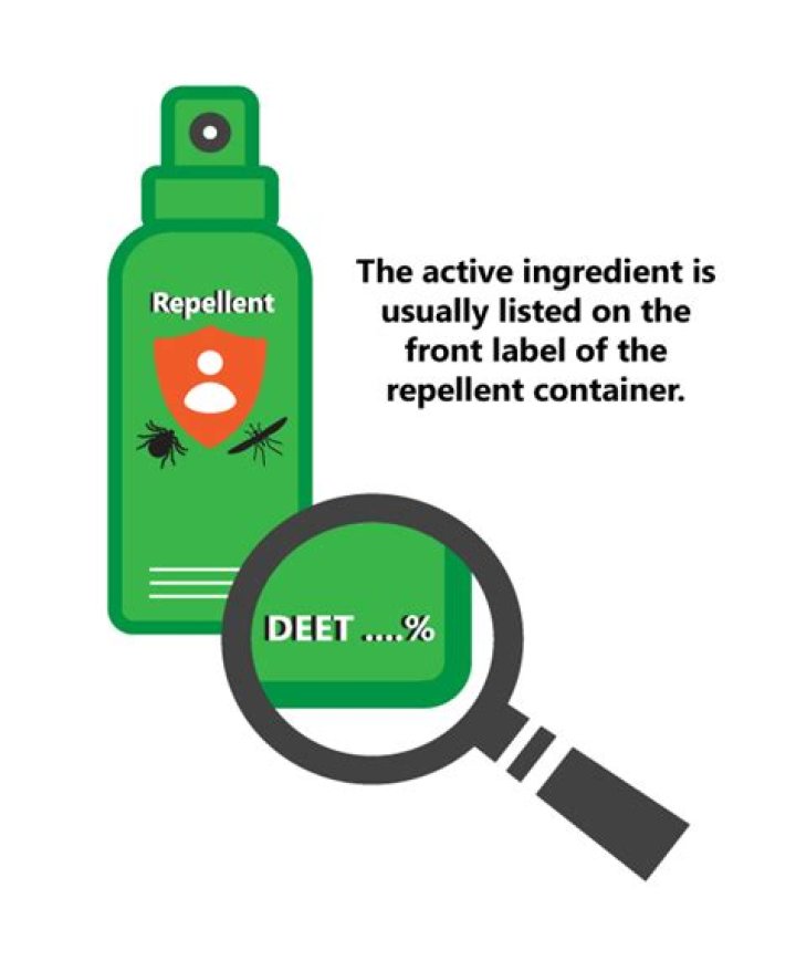 What is the active ingredient in insect repellent