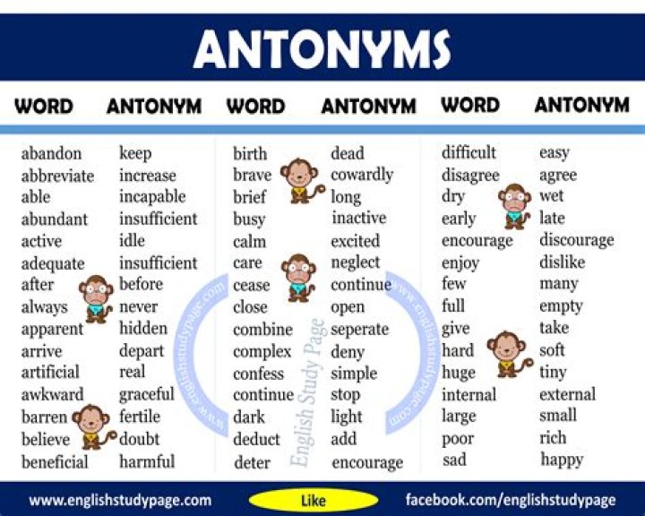What is the antonym of port