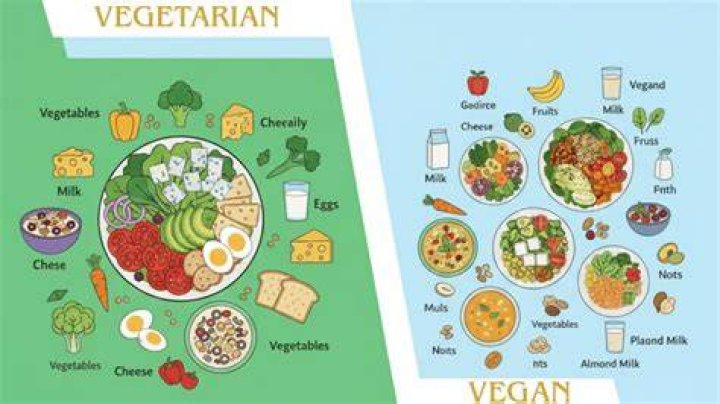 What is the difference between a vegan and a lacto vegetarian