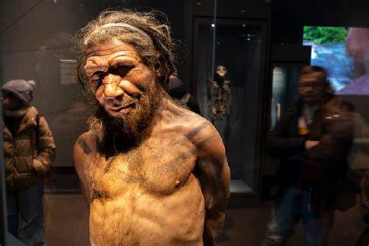 What is unique about Neanderthals