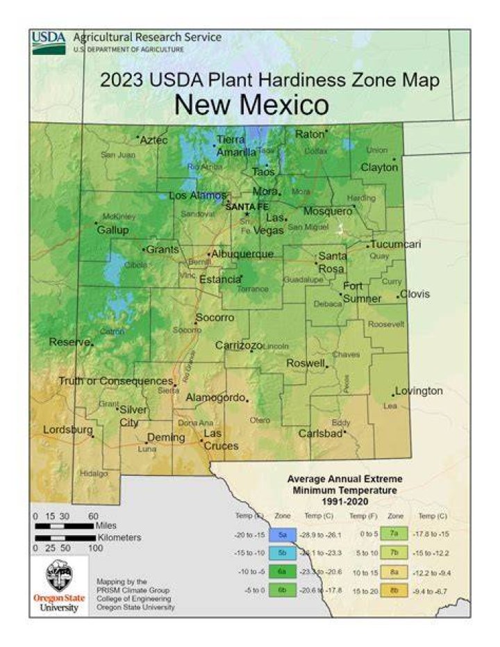 What planting zone is Carlsbad NM