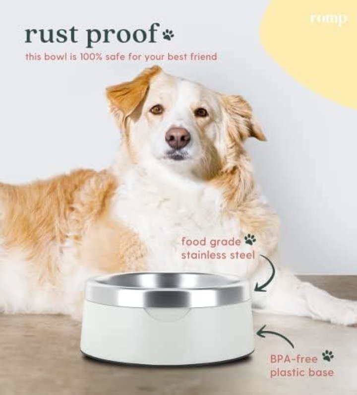 What type of bowl is best for dogs