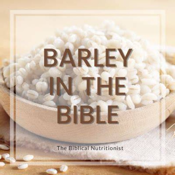 What was barley used for in the Bible