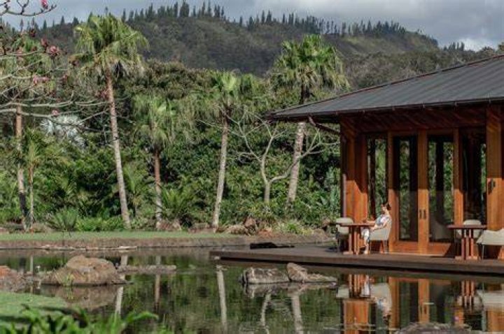 Who owns the Four Seasons Lanai